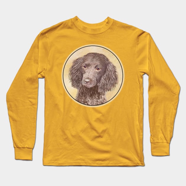 American Water Spaniel Long Sleeve T-Shirt by Alpen Designs